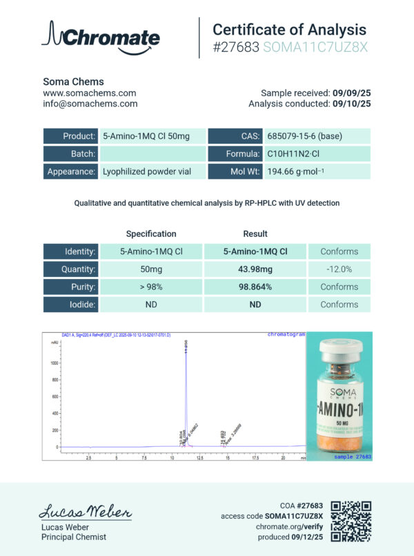 5-AMINO-1MQ - Image 2