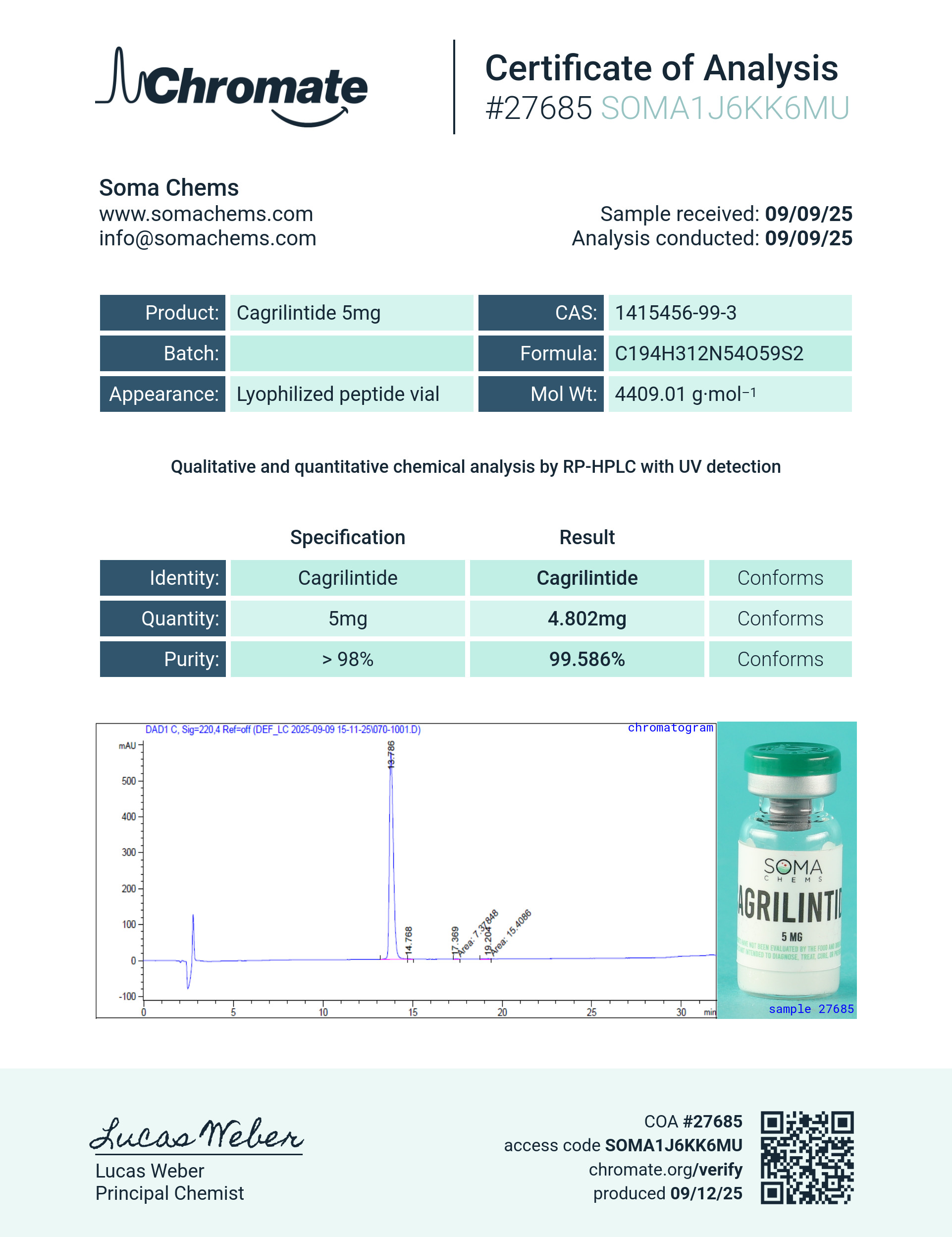 Cagrilintide 2 Cagrilintide - Image 2